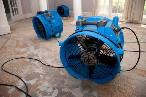 Best Water damage cleanup near me  in El Dorado Springs, MO