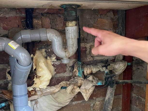 Best Flooded house restoration  in El Dorado Springs, MO