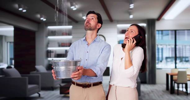 Best Mold removal after water damage  in El Dorado Springs, MO