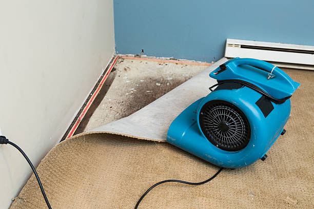 Best Flood damage cleanup  in El Dorado Springs, MO